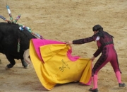 出色首场表现点燃赛场激情，凯恩重返赛场引爆掌声